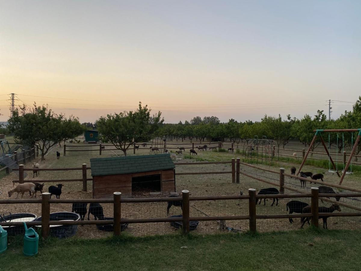 Agriturismo San Michele San Michele  Εξωτερικό φωτογραφία